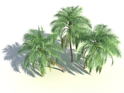 Three Lush Palm Trees With Green Foliage And Natural Shadows 3d model