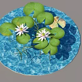 Beautiful Aquatic Plants With Green Lily Pads And White Lotus Flowers On Blue Water