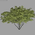 Decorative Ornament Set Featuring Green Leaf Tree and Lush Foliage for Home Decor