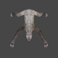 Realistic 3D Sloth Character Model For Game And Movie Animations