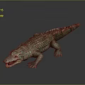Realistic Crocodile 3D Model With Open Mouth Sharp Teeth Scaly Body Dark Background And Reflection 3d model