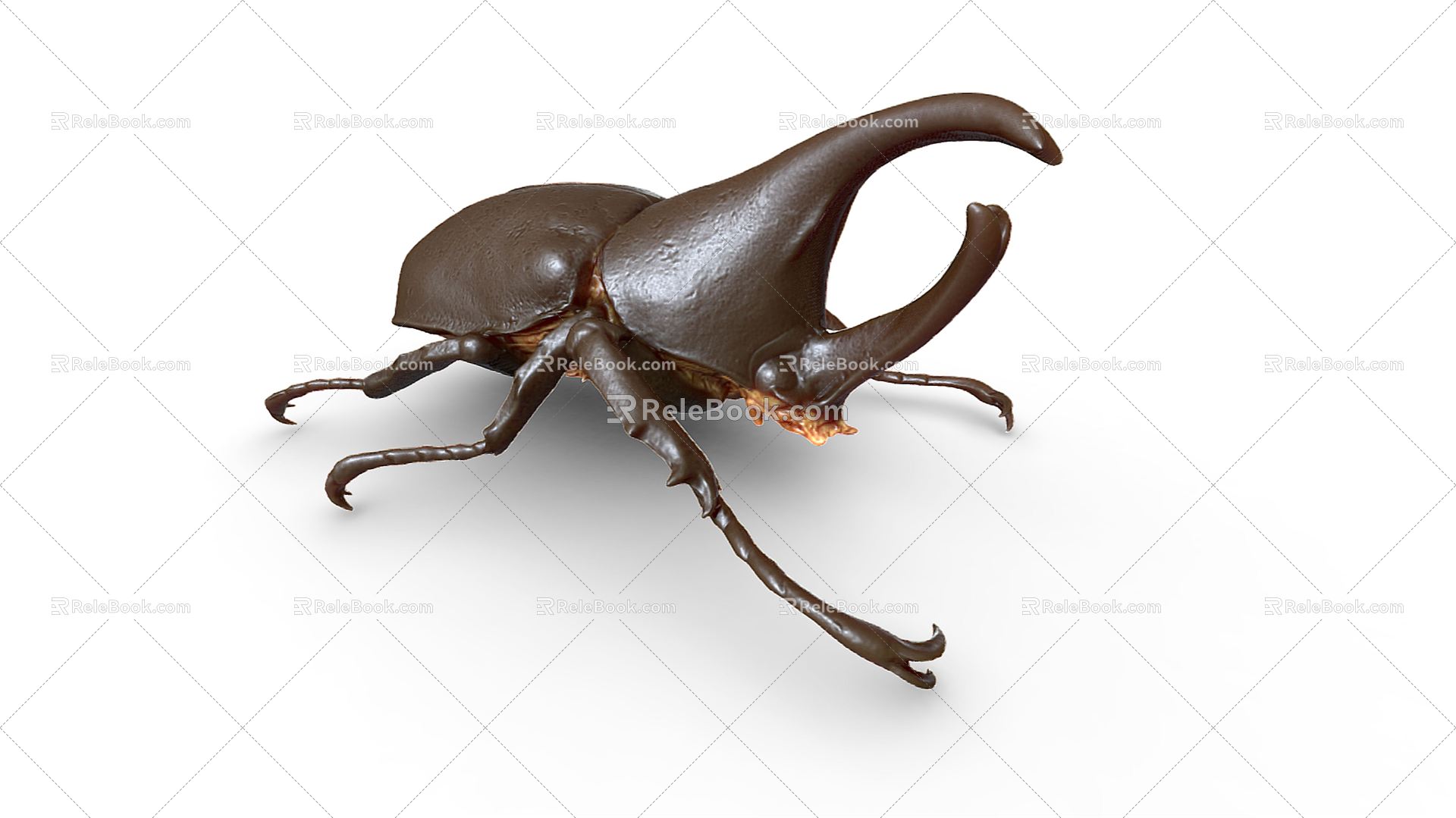 Modern unicorn rhinoceros beetle triangle beetle shell insect insect 3d model