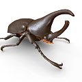 Modern unicorn rhinoceros beetle triangle beetle shell insect 3d model