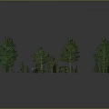 Green Plant 3D Models with Various Sizes Shapes Trees and Shrubs