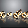 Six Calico Cats With Black White And Orange Fur Sitting On Black Reflective Surface