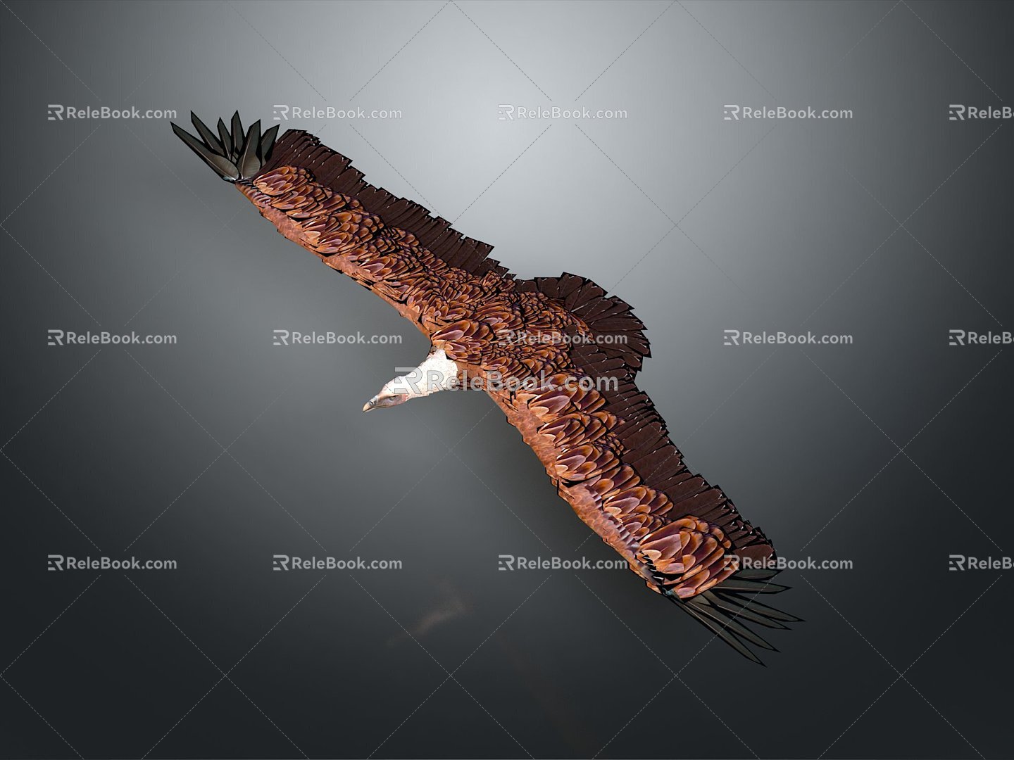 Eagle Large Eagle Owl Raptor Falcon Bird Bird Bird Animal Game Animal 3d model