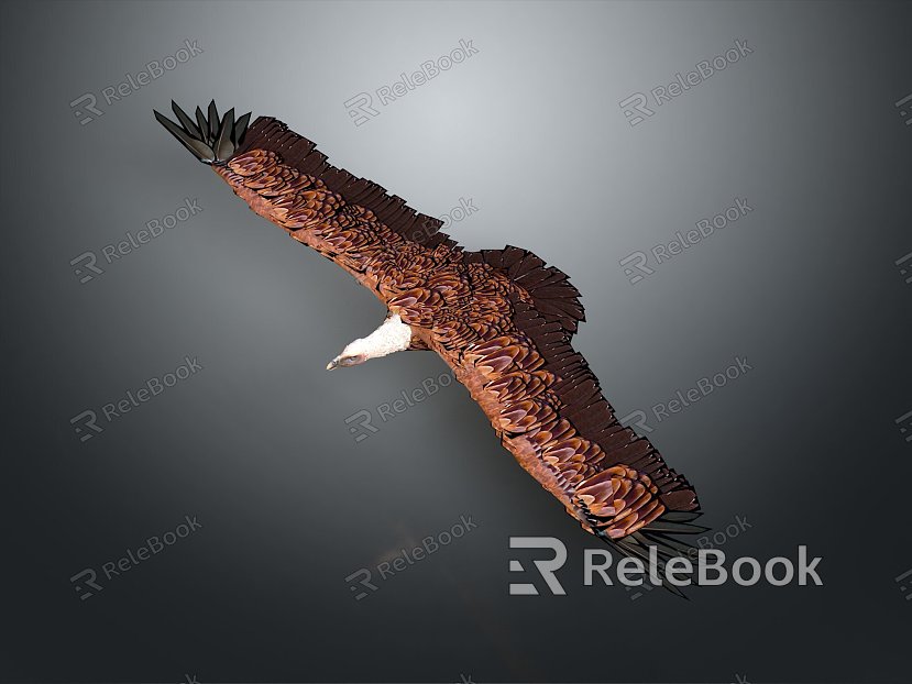 Eagle Large Eagle Owl Raptor Falcon Bird Bird Bird Animal Game Animal model