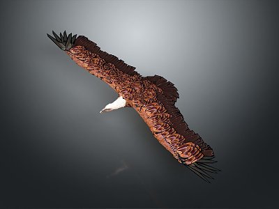 Eagle Large Eagle Owl Raptor Falcon Bird Animal Game Animal model