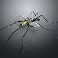 3D Rendered Mosquito With Golden Head Long Legs Transparent Wings And Striped Body