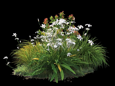 Lush Shrub Cluster With White Flowers Green Foliage And Herb Plants 3d model