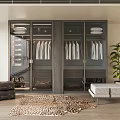 Modern Wardrobe Interior With Glass Doors Hanging Clothes Bench Potted Plant And Leopard Print Rug