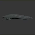 Realistic Light Blue Whale 3D Model With Gray Background And Reflection 3d model