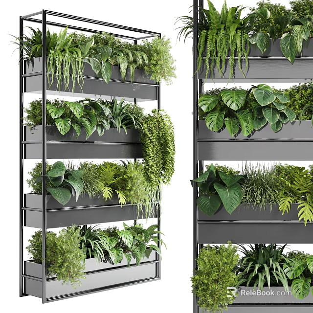 Stylish Black Multi Layer Metal Plant Stand With Various Green Plants For Indoor Decor 3d model 