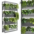 Stylish Black Multi Layer Metal Plant Stand With Various Green Plants For Indoor Decor