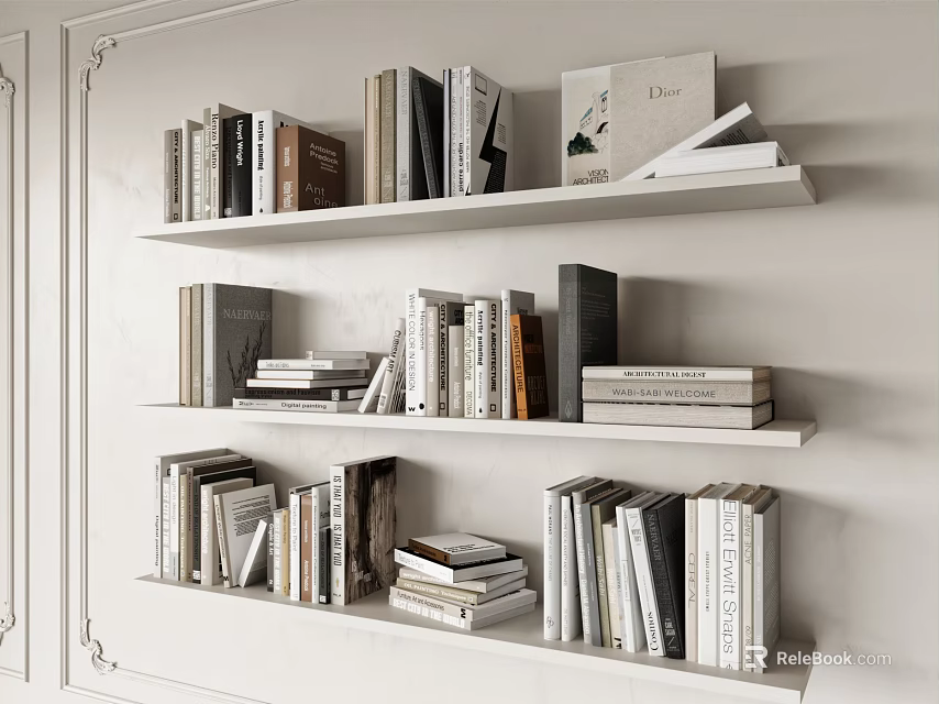 White Bookshelf On Decorative Wall With Multiple Shelves Of Neatly Arranged Books And Magazines 3d model 