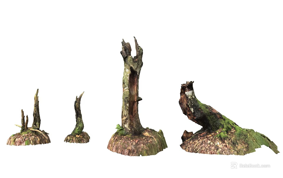 Realistic Tree Stumps With Moss Covered Bases And Various Natural Shapes 3d model 