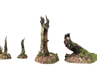 Realistic Tree Stumps With Moss Covered Bases And Various Natural Shapes 3d model