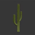 Green Spiky Cactus Plant with Multiple Branches on Dark Background and Smooth Reflection