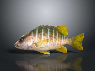 Yellow And White Striped Fish Shaped Household Decorative Figurine For Home Decoration 3d model