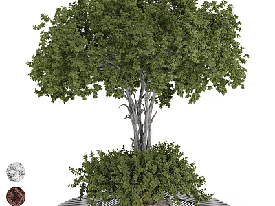 Lush Green Arbor With Dense Foliage And Strong Trunk In Garden Landscape 3d model