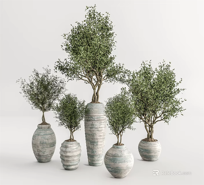 Potted Bonsai Trees With Green Foliage In Ceramic Textured Planters Of Multiple Sizes 3d model 