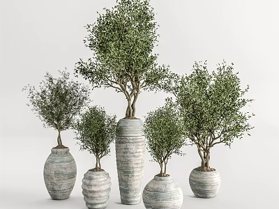Potted Bonsai Trees With Green Foliage In Ceramic Textured Planters Of Multiple Sizes 3d model