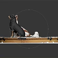 Two Small White And Black Dogs Sitting On Tablecloth With Gear And Clock Patterns 3d model