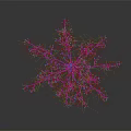 Decorative Light Snowflake Shaped Branch Structure With Red Pink Blue Glowing Lights On Gray Background 3d model