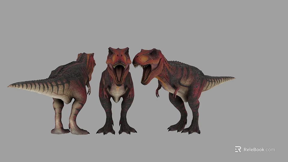 Three Tyrannosaurus Rex Dinosaur Models In Different Poses With Brown Red Colors 3d model 