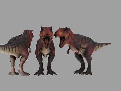 Three Tyrannosaurus Rex Dinosaur Models In Different Poses With Brown Red Colors 3d model
