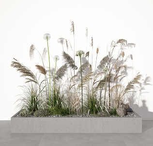 Modern reed plant combination 3d model