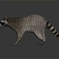 Lifelike 3D Raccoon Model With Open Mouth Standing On Gray Background
