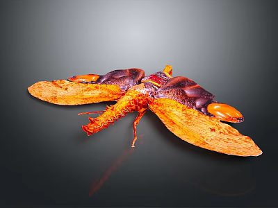 Vibrant Insect With Orange Red And Dark Brown Large Textured Wings On Dark Background Reflection 3d model