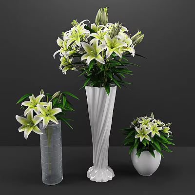 Elegant White Lily Flower Arrangement In Different Decorative Vases With Green Leaves 3d model