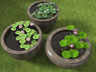 Clay Fish Tank Aquarium With Lotus Flowers Lily Pads And Green Grass Background 3d model