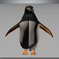 Cute black and white penguin with orange feet and flippers standing on gray gradient background