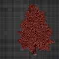 Lush Green Pine Tree With Dense Foliage And Straight Trunk In White Background