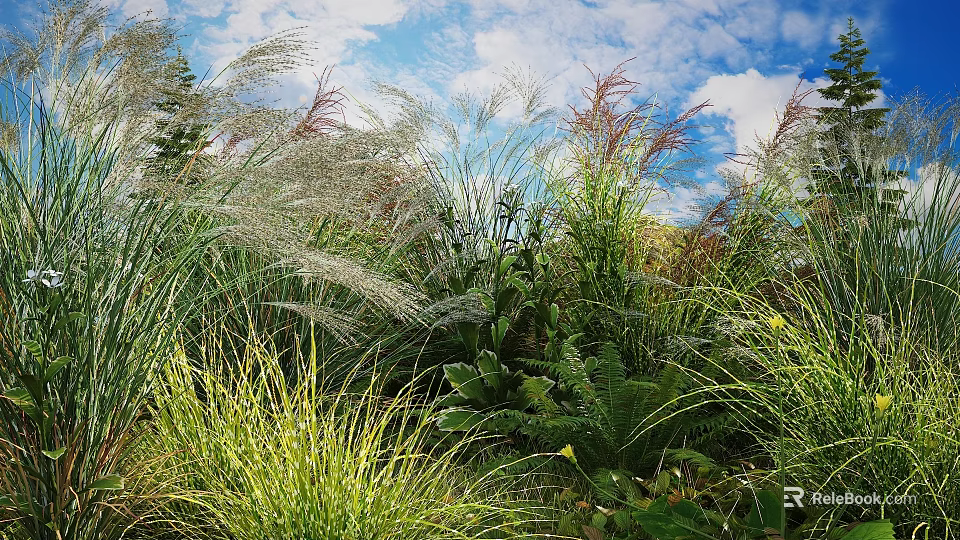 Lush Outdoor Garden With Various Herbs Tall Grasses And Ferns Under Blue Sky 3d model 