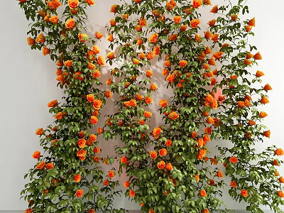 Decorative Climbing Vine With Lush Green Leaves And Vibrant Orange Flowers On White Wall 3d model