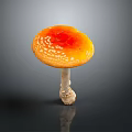 Fresh Orange Mushroom With White Spots On Round Cap Over Dark Reflective Surface