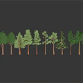 Various Tree Models For Landscape Scene With Green Foliage And Brown Trunks