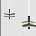 Modern Elegant Double Ring Pendant Lights With Metal Frame And White Background 3d model