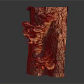 Organic Fresh Vegetable Mushrooms Growing On Natural Tree Trunk Surface