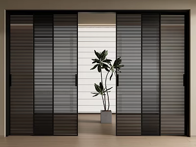 Modern Black Sliding Doors With Vertical Stripes And Indoor Green Plant View 3d model