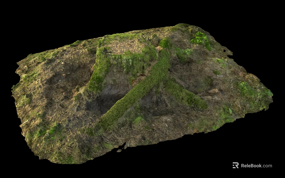 Natural Green Moss and Vegetation Growing on Rocky Soil Surface with Primitive Growth Traces 3d model 