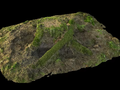 Natural Green Moss and Vegetation Growing on Rocky Soil Surface with Primitive Growth Traces 3d model