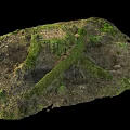 Natural Green Moss and Vegetation Growing on Rocky Soil Surface with Primitive Growth Traces