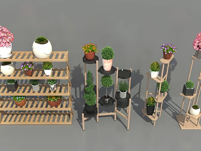 Garden Decor With Multi-tiered Wooden Plant Stands And Various Potted Succulents 3d model