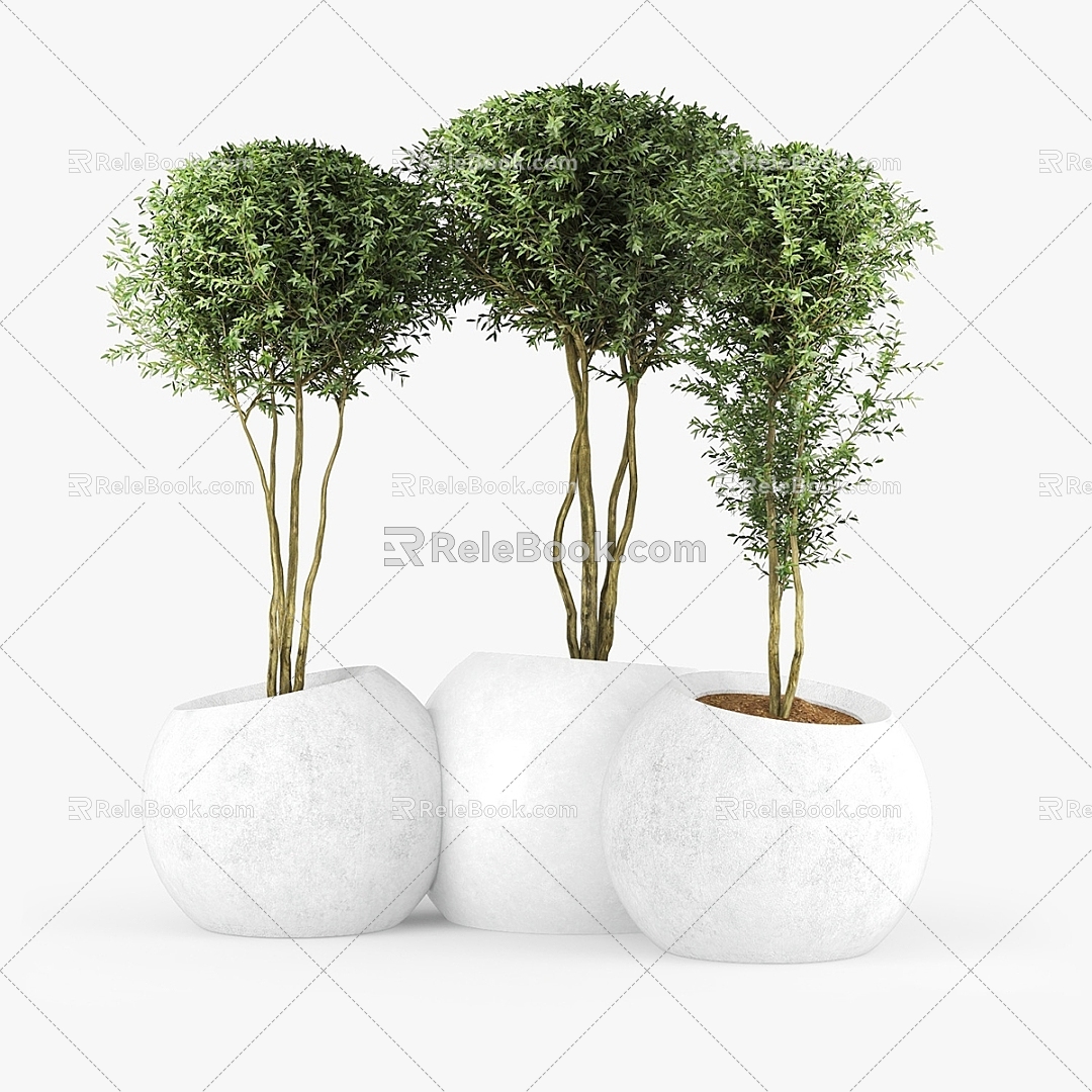 Modern Bonsai Pot Planting Tree Shrub Bed Sheet Leaf 3d model