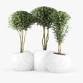 Modern Bonsai Pot Planting Tree Shrub Bed Sheet Leaf 3d model